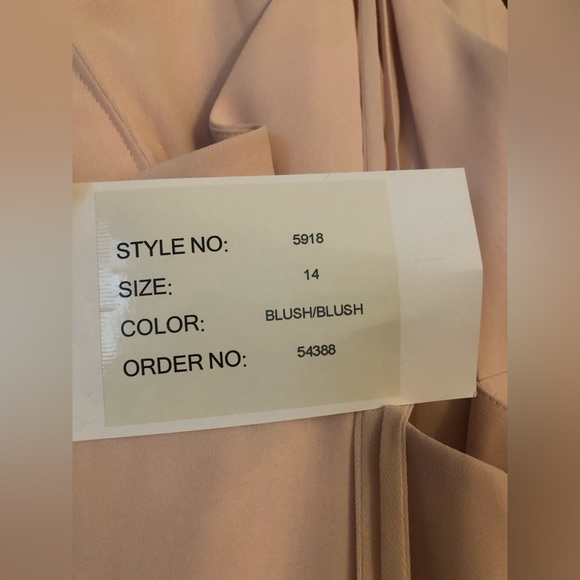 Blush Bridesmaid Dress - Picture 5 of 5